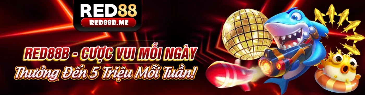 Hướng dẫn cá cược thể thao
