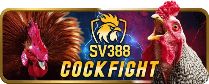 Dịch vụ hỗ trợ khách hàng 24/7 của xx88 apk